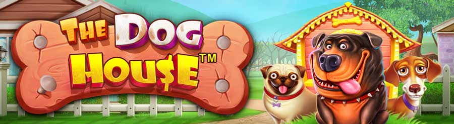 40 Darmowych Spinów w Cactus Casino za Depozyt Już od 4 PLN