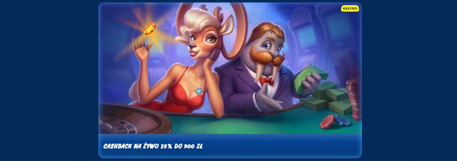 SG: Cashback Na Żywo do 25%
